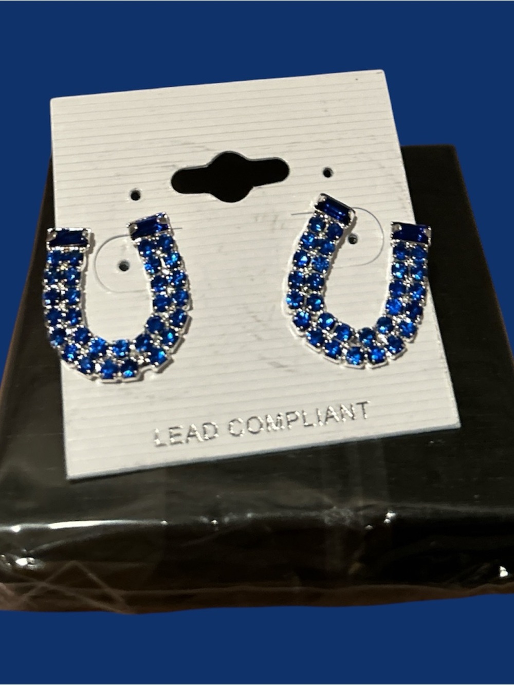 Blue Crystal Horseshoe Earrings-NWOT